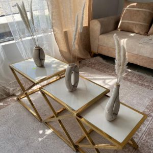 tables gigons inox